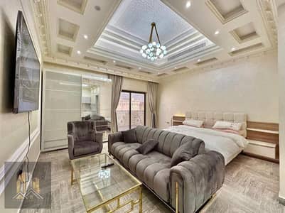 Studio for Rent in Khalifa City, Abu Dhabi - WhatsApp Image 2024-05-17 at 10.06. 35 PM (4). jpeg