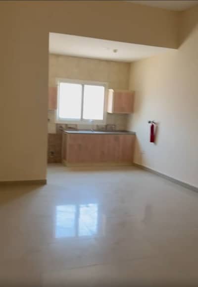 Studio for Rent in Al Jurf, Ajman - WhatsApp Image 2024-05-23 at 13.39. 12_a713beab. jpg
