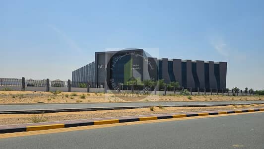 ارض سكنية  للبيع في السلام سيتي، أم القيوين - WhatsApp Image 2024-05-25 at 20.46. 46. jpeg