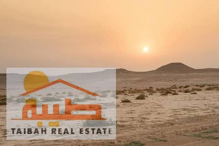 Plot for Sale in Al Suyoh, Sharjah - 1716716053997. jpeg