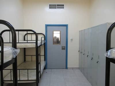 سكن عمال في المنطقة الصناعية 11 غرف 2250000 درهم - 3459085 سكن عمال في المنطقة الصناعية 11 غرف 2250000 درهم - 3459085