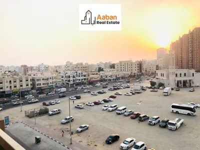 ارض سكنية  للبيع في النعيمية، عجمان - WhatsApp Image 2024-05-27 at 3.44. 27 AM. jpeg