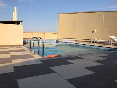 2 Bed Room Apartment 2 Bed Room Apartment