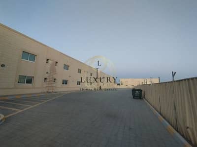 Labour Camp for Rent in Al Noud, Al Ain - Brand new | Spacious | Prime location