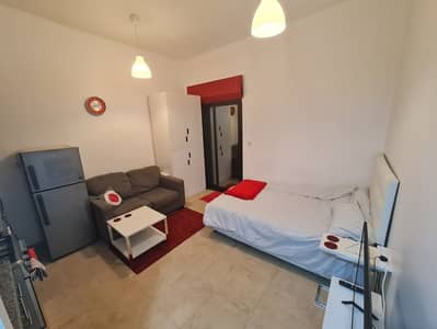 Studio for Rent in Dubai Silicon Oasis (DSO), Dubai - WhatsApp Image 2024-05-28 at 4.16. 50 PM (1). jpeg