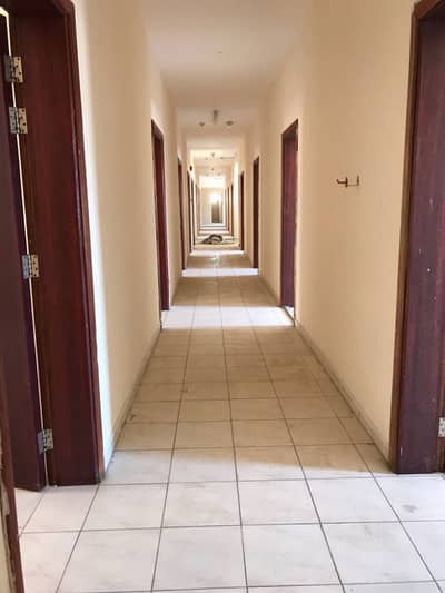 سكن عمال في عجمان الصناعية 1 عجمان الصناعية 13200 درهم - 3806449 سكن عمال في عجمان الصناعية 1 عجمان الصناعية 13200 درهم - 3806449