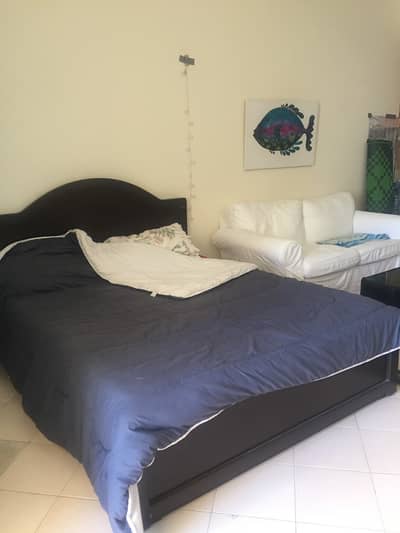 DEAL OF THE DAY FULLY FURNISHED STUDIO FOR RENT IN LAGO VISTA -IMPZ. . . DEAL OF THE DAY FULLY FURNISHED STUDIO FOR RENT IN LAGO VISTA -IMPZ. . .