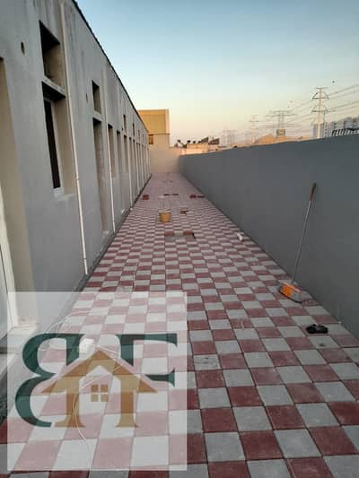 Labour Camp for Rent in Industrial Area, Sharjah - 1000217254. jpg