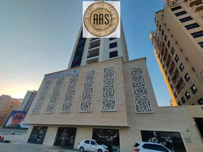 Showroom for Rent in Al Jaddaf, Dubai - IMG_20240421_180221. jpg