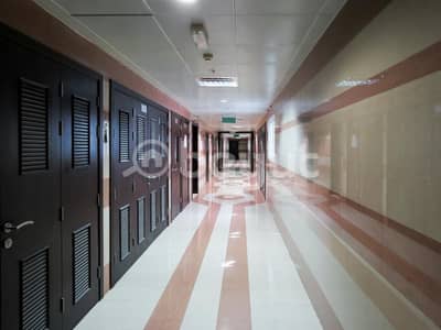 2 Bedroom Flat for Rent in Al Mahatah, Sharjah - NO COMMISSION l Spacious 2BHK with balcony & parking available for rent 2 Bedroom Flat for Rent in Al Mahatah, Sharjah - NO COMMISSION l Spacious 2BHK with balcony & parking available for rent