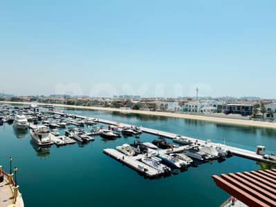 Studio for Rent in Palm Jumeirah, Dubai - Waterfront Living | Roof Top Gym | Vacant