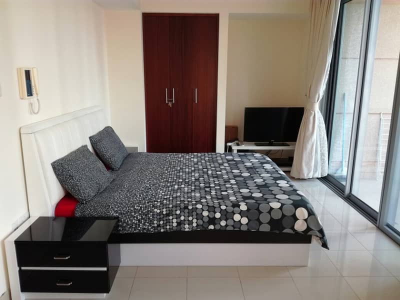 fully furnished spacious studio apts stand point for rent