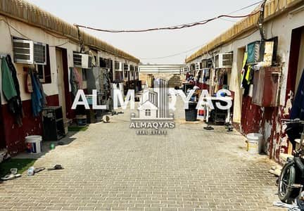 Labour Camp for Sale in Al Sajaa, Sharjah - سكن العمال الصجعة صورة رقم 1. png