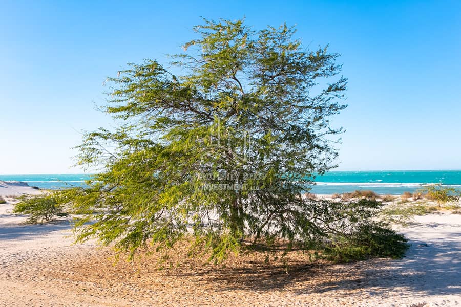 3 al-jurf-garden-abu-dhabi-beach-side (1). JPG