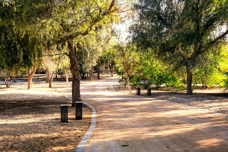 7 al-jurf-garden-abu-dhabi-nature-trees (11). JPG