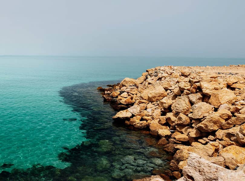 11 al-jurf-garden-abu-dhabi-beach-costal-seashore-1. jpg
