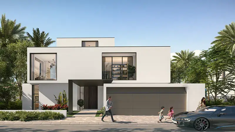 Palmiera 2 image 6