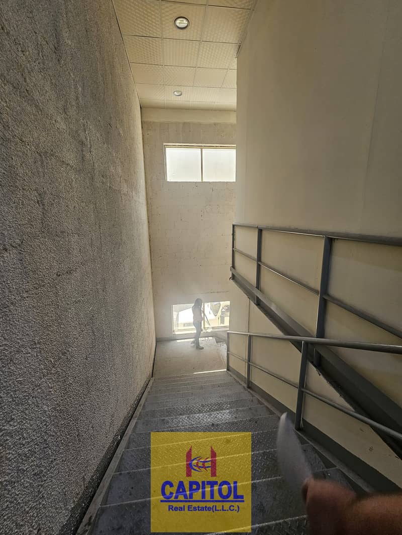 11 16. jpeg