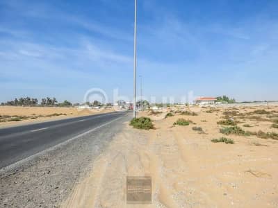 ارض تجارية  للبيع في المنامة، عجمان - WhatsApp Image 2024-04-14 at 10.59. 49 AM. jpeg