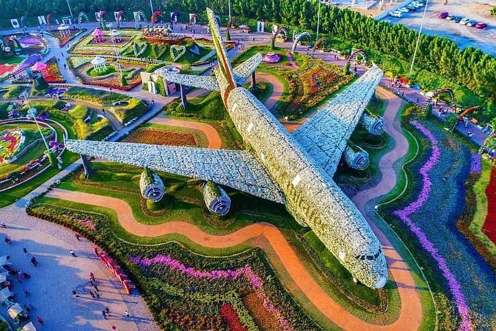 29 73. jpg