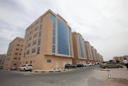 1 Bedroom Flat for Rent in Al Jurf, Ajman - 1 BHK Available in Ajman Bank Building Al Jurf 1 Bedroom Flat for Rent in Al Jurf, Ajman - 1 BHK Available in Ajman Bank Building Al Jurf