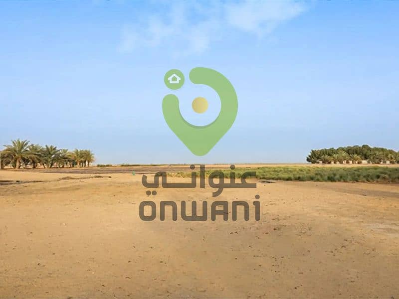 8 ONWANI (7). jpg