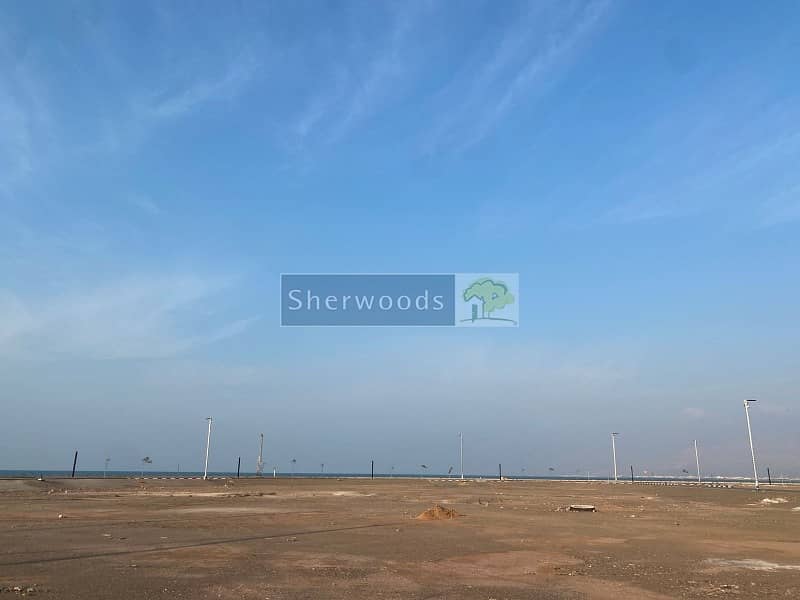 11 watermark. jpg