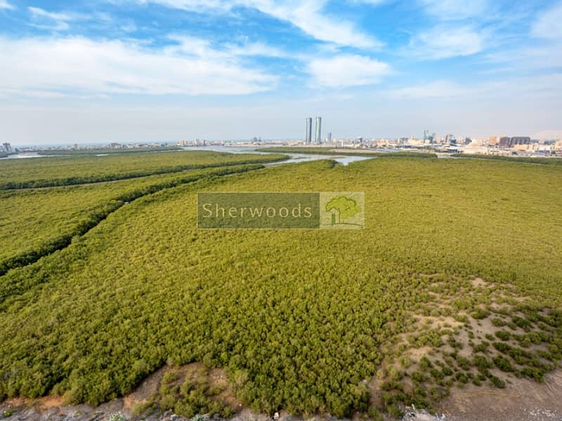11 watermark (2). jpg