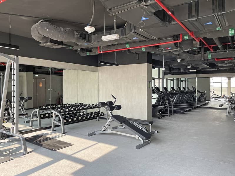 14 gym. jpg