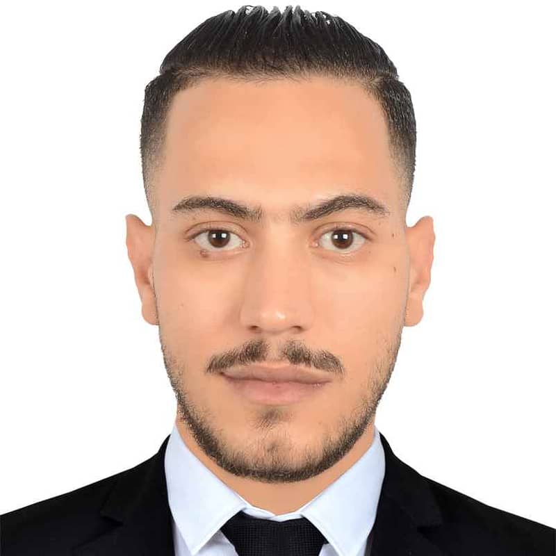 Mostafa Salah Eldin Abd el Rashid Abd el Hafeez