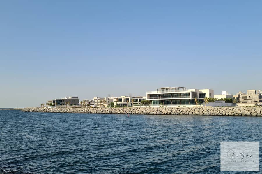 5 6. jpg
