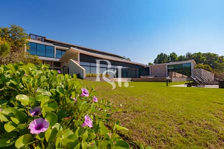 6 Bedroom Villa for Sale in Nurai Island, Abu Dhabi - 6br-villa-nurai-island-abu-dhabi-backyard (7) (1). JPG
