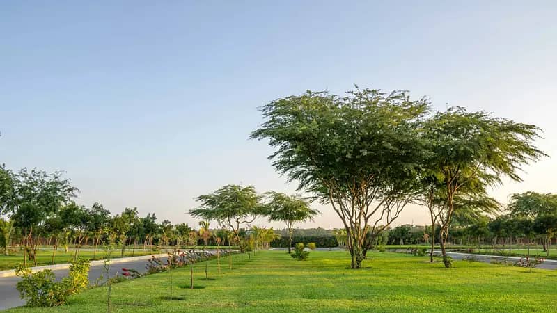 Arabian Hills Estate - Image 13