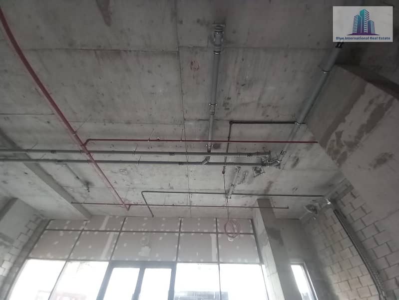 4 Pic 3. jpg