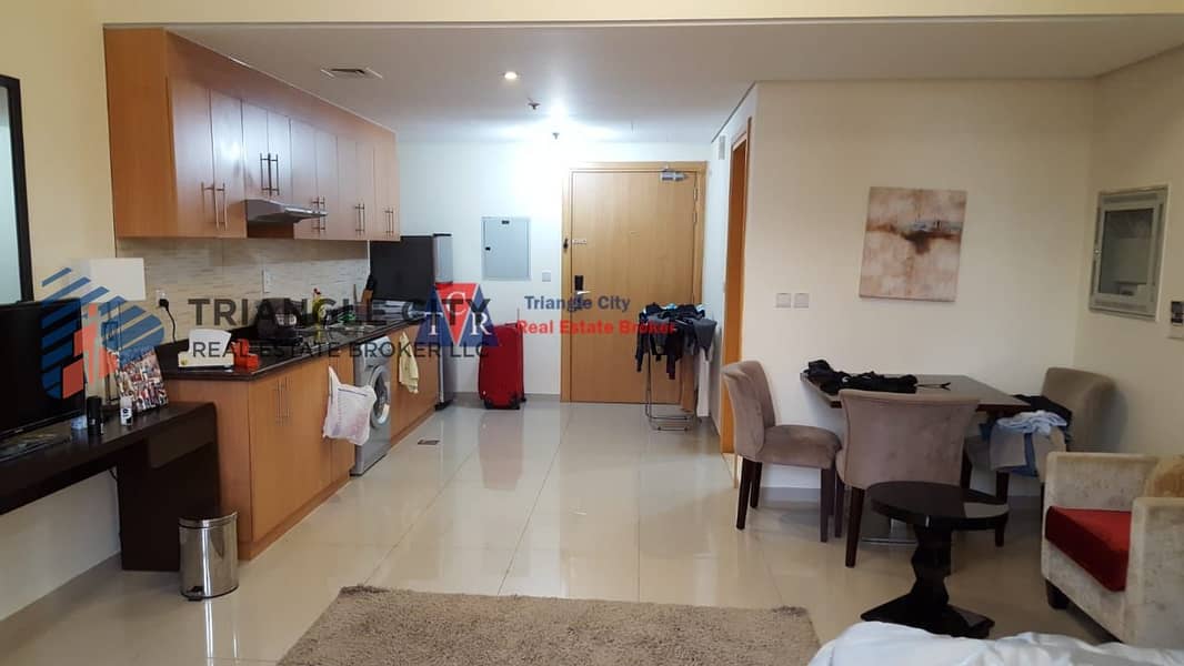 2 Fully Furnished Studio apartment For rent in Lincoln Park Arjan
