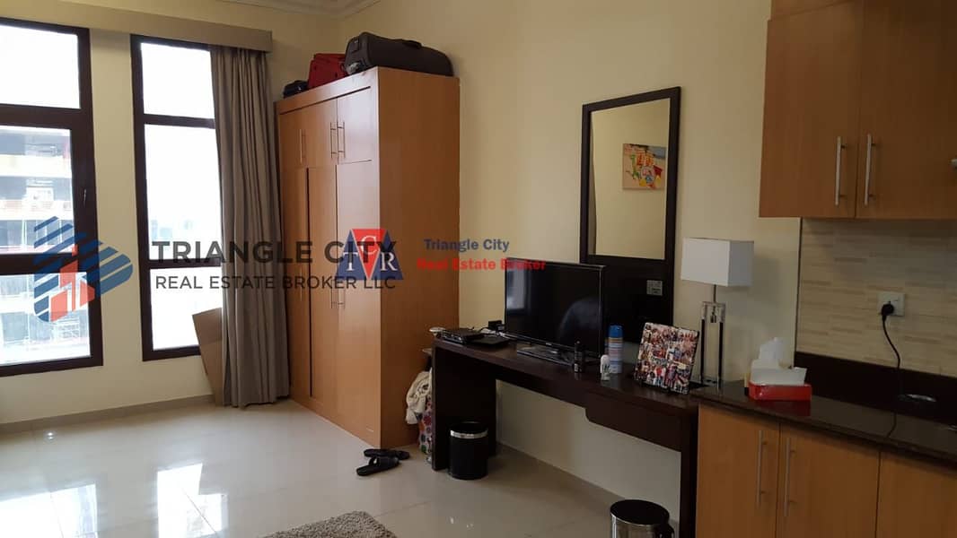 3 Fully Furnished Studio apartment For rent in Lincoln Park Arjan