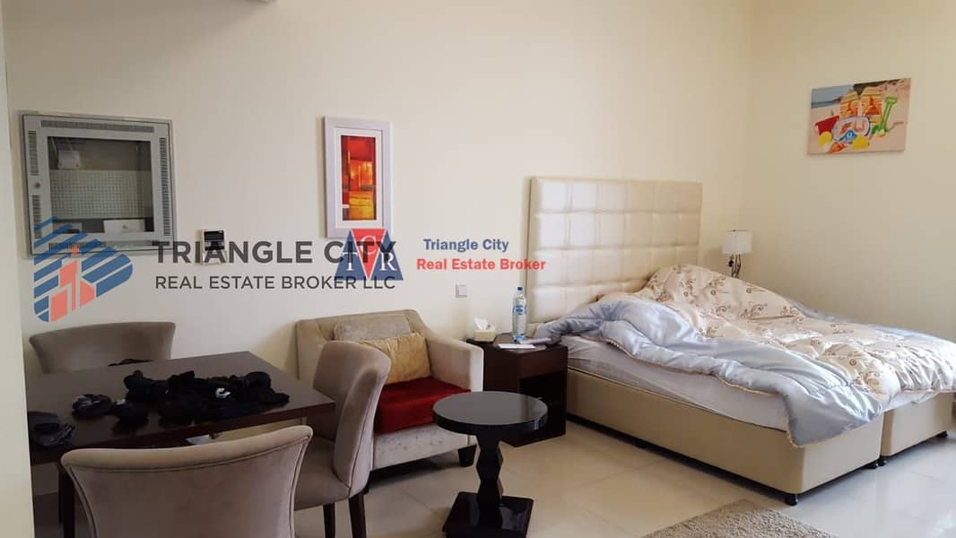 4 Fully Furnished Studio apartment For rent in Lincoln Park Arjan