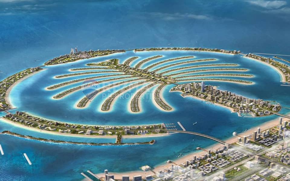 ارض سكنية في سعفة N،نخلة جبل علي 40428800 درهم - 9293462 ارض سكنية في سعفة N،نخلة جبل علي 40428800 درهم - 9293462