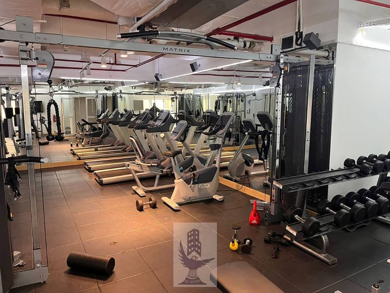 9 DGT-1 GYM. jpg