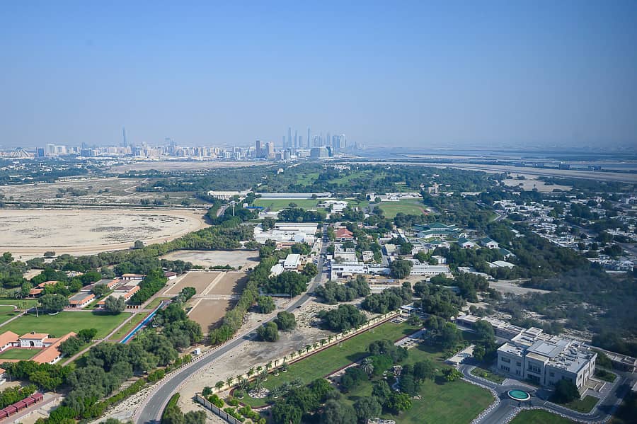 13 1-28. jpg