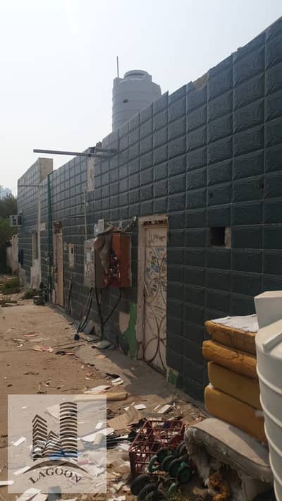 5 Bedroom Villa for Sale in Liwara 2, Ajman - WhatsApp Image 2024-07-15 at 5.49. 58 PM. jpeg