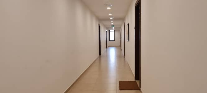 BEAUTYFILL OPEN VIEW + Neat & clean 2 bedroom apt available for rent