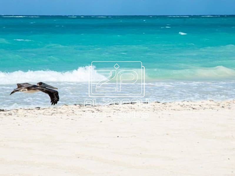 10 useful_information_pelican_key_best_time_to_visit_64bd54bbff. jpg