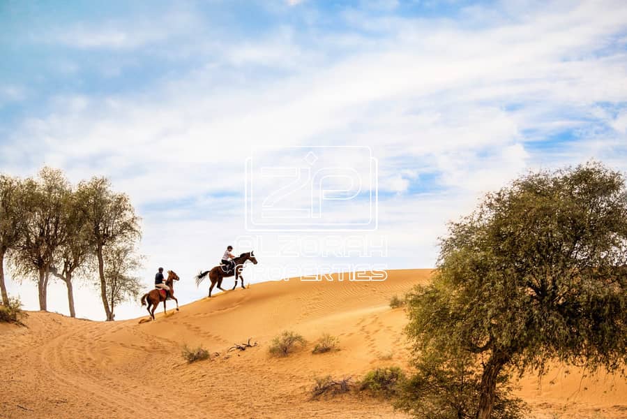 13 Al-Wadi-Equestrian-Adventure-Centre-ras-Al-Khaimah-scaled. jpg