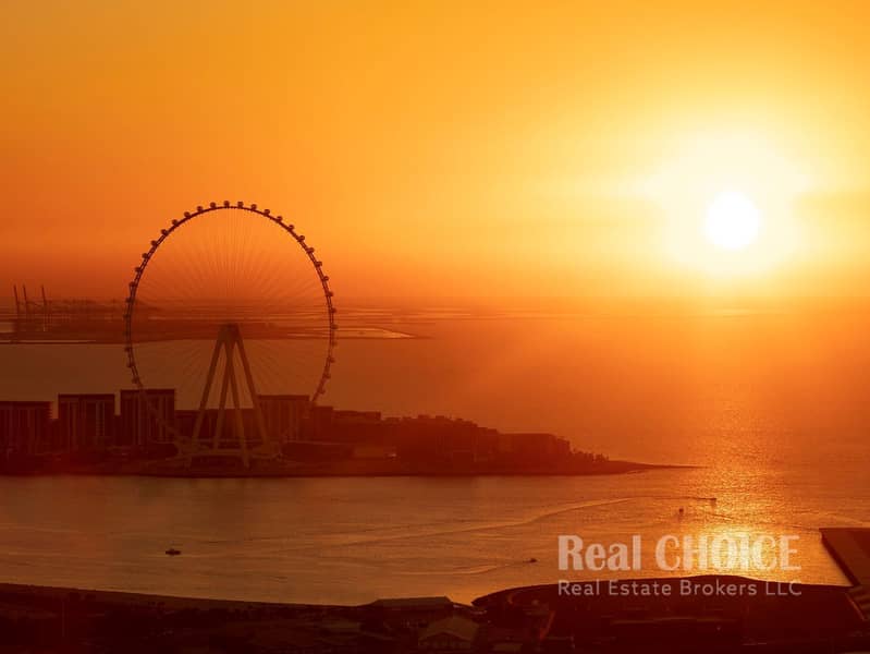 11 Dubai Ain Ferris Wheel View. jpg