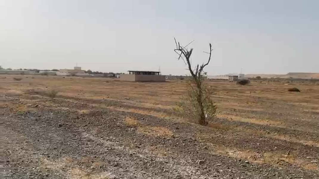 2 residential land in Manama 14 cheap price 2 residential land in Manama 14 cheap price