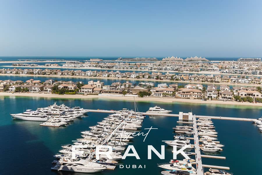 19 Palm marina view. jpg