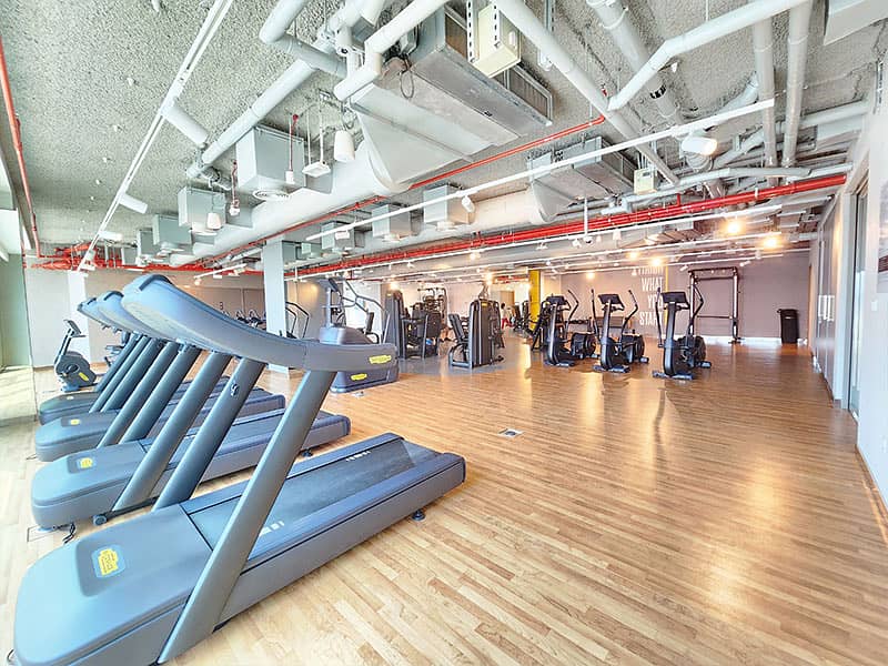 29 Gym. jpg