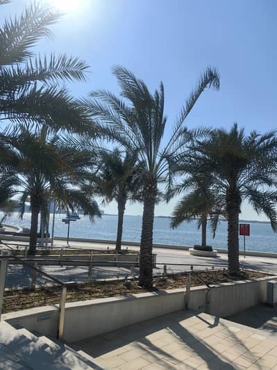 2 Bedroom Apartment for Sale in Yas Island, Abu Dhabi - IMG_20240210_144846. jpg