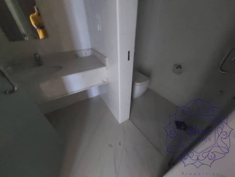 12 1000348358. jpg